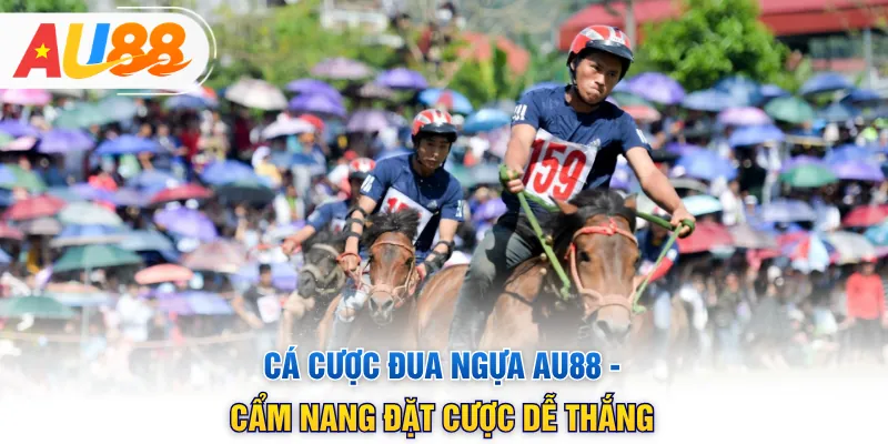 Cá Cược Đua Ngựa AU88 - Cẩm Nang Đặt Cược Dễ Thắng